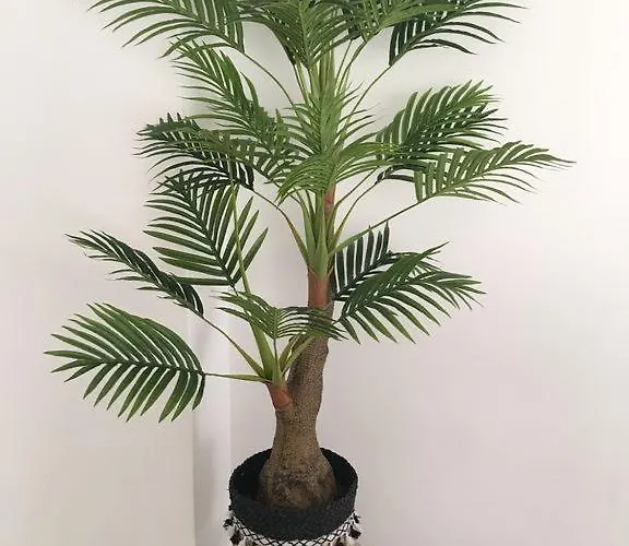 Appartamento Sunset House Azores